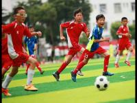 拉齐奥vs切塞纳直播_拉齐奥vs切塞纳拉齐奥vs切塞纳免费直播在线直播